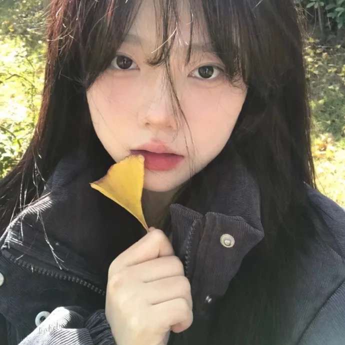 远东之旅
